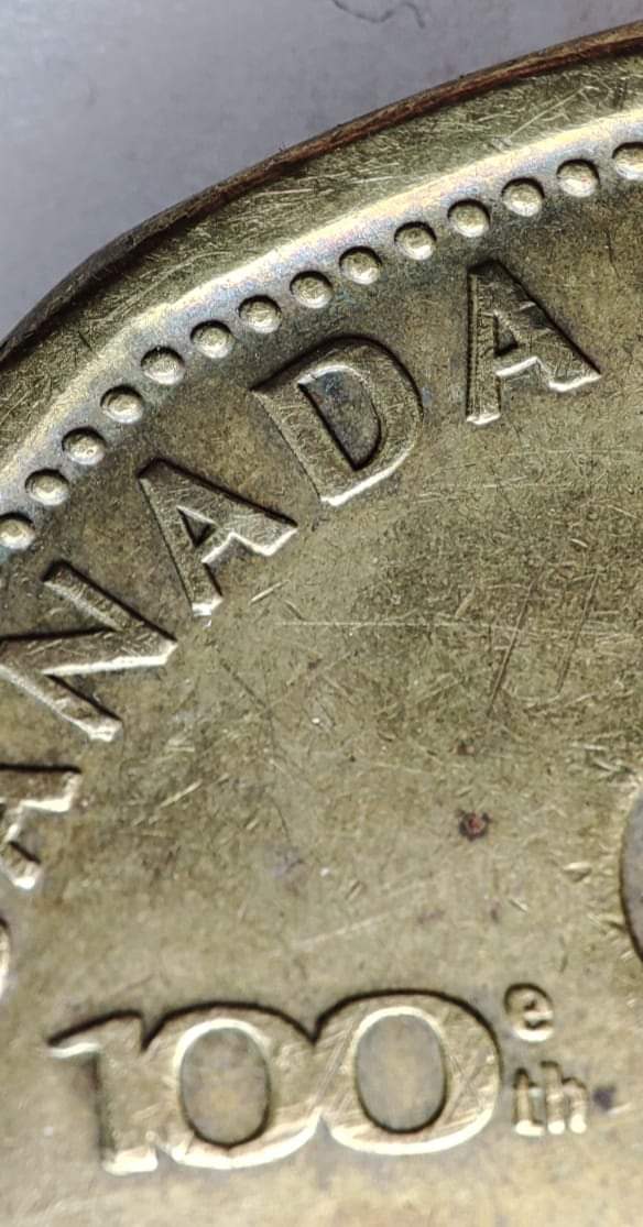 1-Dollar-2012---Grey-Cup---Canada---DDO